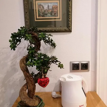 A La Tour Des Rohan Strasbourg