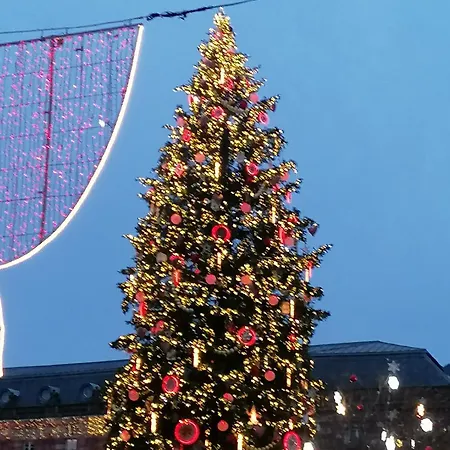 Daire A La Tour Des Rohan Strazburg