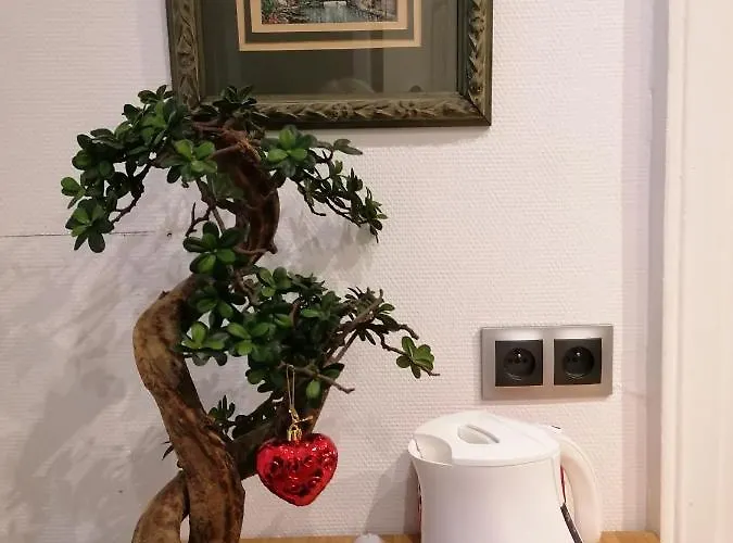 A La Tour Des Rohan Estrasburgo